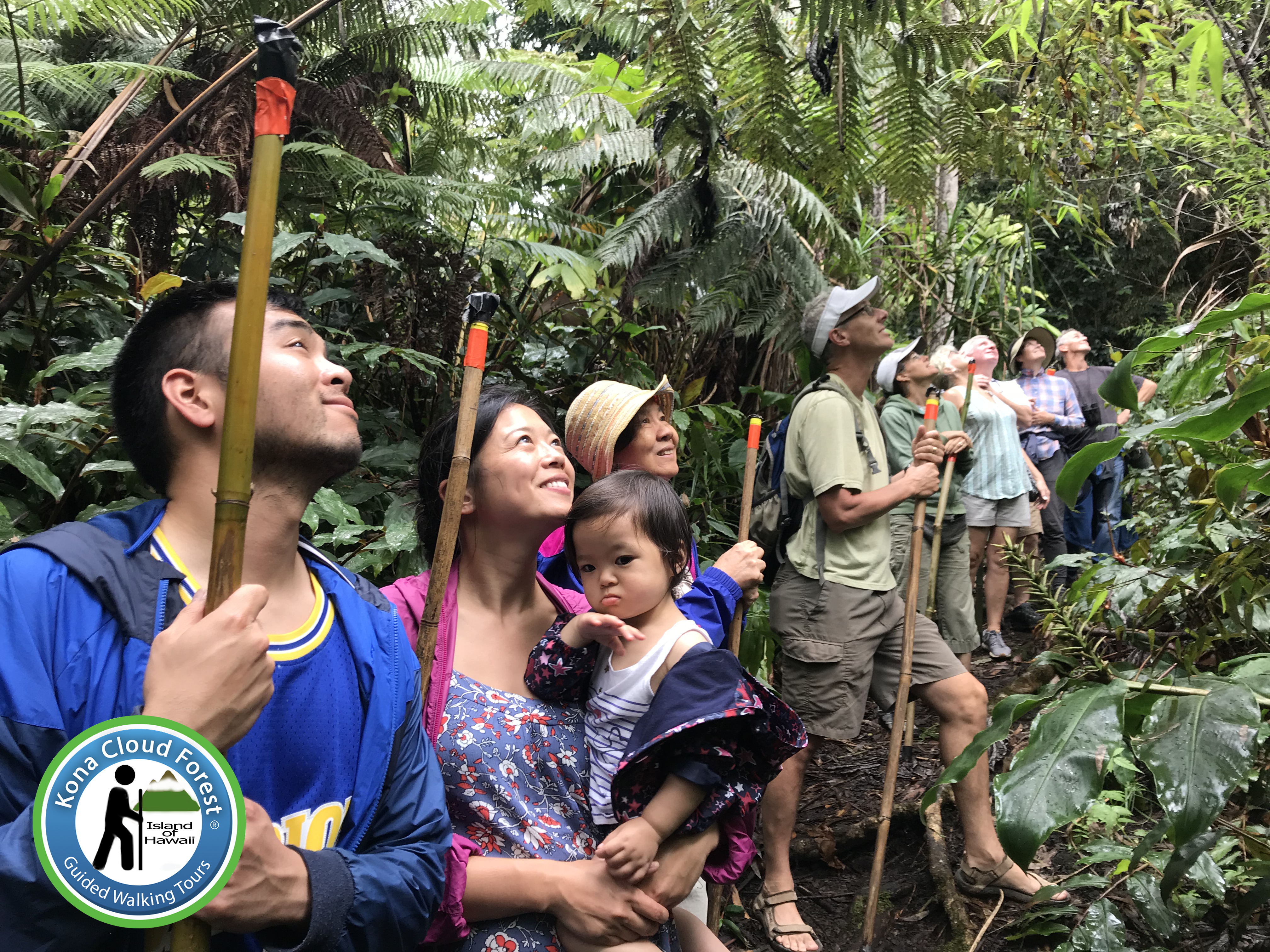 Kelly Dunn - Kona Cloud Forest - Guided Walking Tours